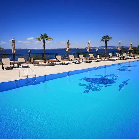 Onyx 1 Private Kralev *