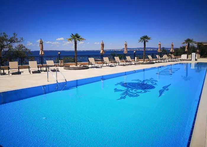 Onyx 1 Private Kralev *