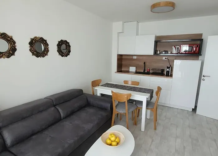 Onyx 1 Private Kralev 圣弗拉斯